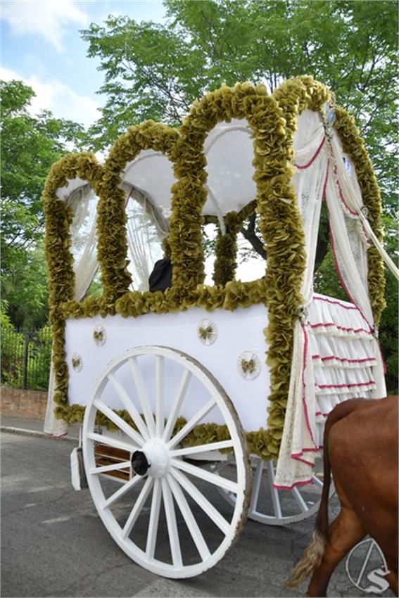 Romeria_San_Isidoro._2026._Santiponce__191___Copiar_.JPG