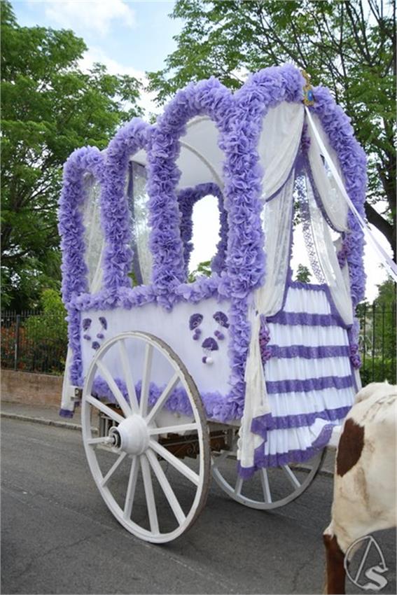 Romeria_San_Isidoro._2026._Santiponce__194___Copiar_.JPG