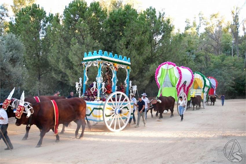 Romeria_San_Mateo._2025._Alcala_de_Guadaira__215___Copiar__1.JPG