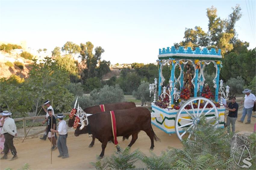 Romeria_San_Mateo._2025._Alcala_de_Guadaira__220___Copiar_.JPG