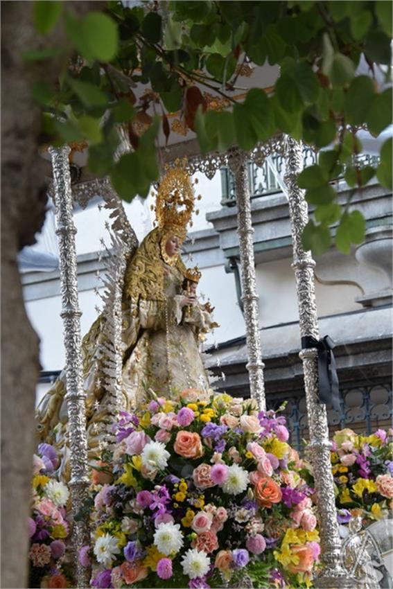 Romeria_Virgen_de_Cuatrovitas._2025._Bollullos_de_la_Mitacion__141___Copiar_.JPG