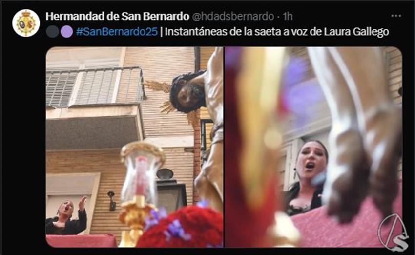 SBernardo_1.JPG