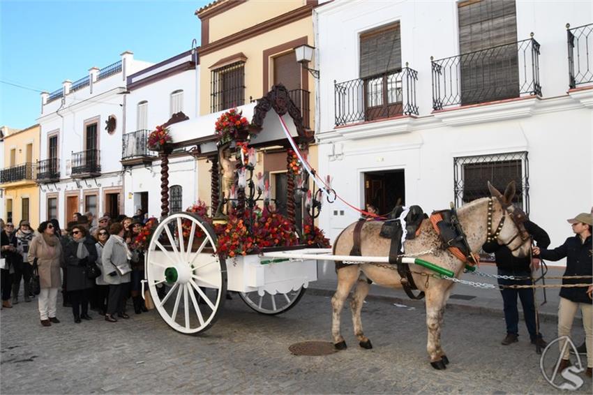 San_Sebastian._2025._Brenes__20___Copiar_.JPG
