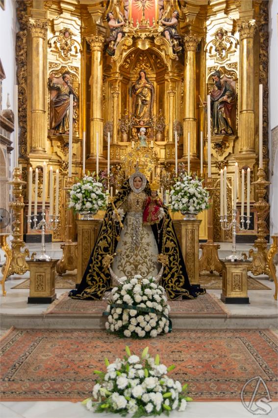 Sergio_Montiel_BSM_Araceli_2025_DSC8618