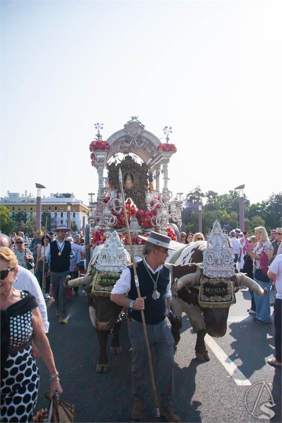 Sergio_Montiel_Rocio_Sevilla_2025_DSC8059