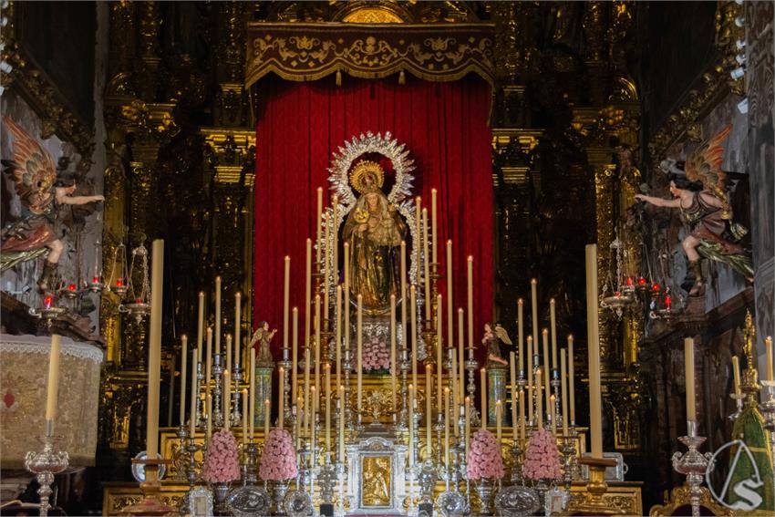 Sergio_Montiel_TR_Amparo_2024_DSC5708