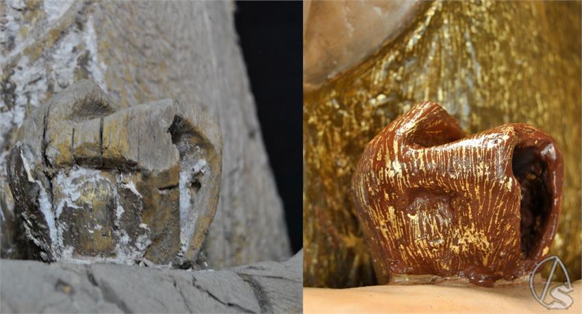 SheilaCriado_SanJuanBautista_IMG-20251126-WA0047