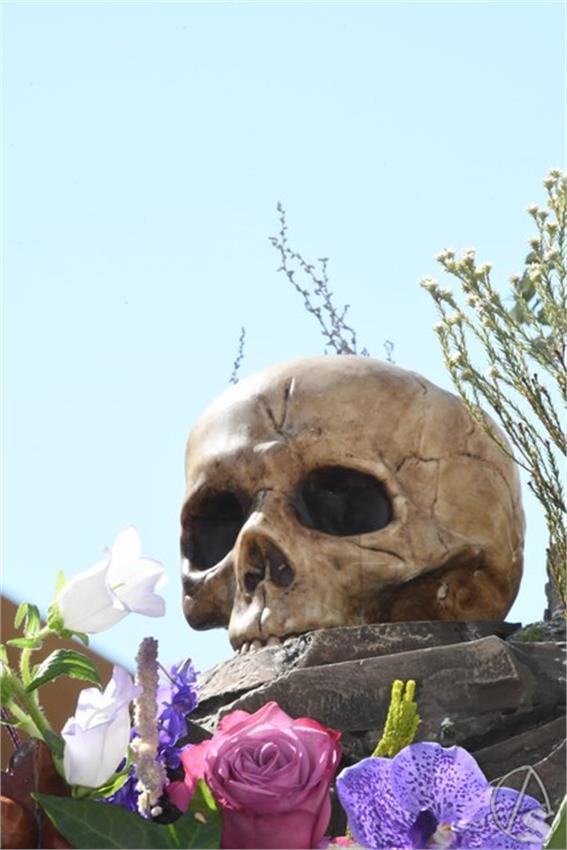 Vera_Cruz._Coria_del_Rio__104___Copiar_.JPG