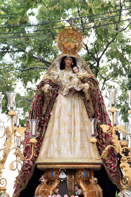 amparo