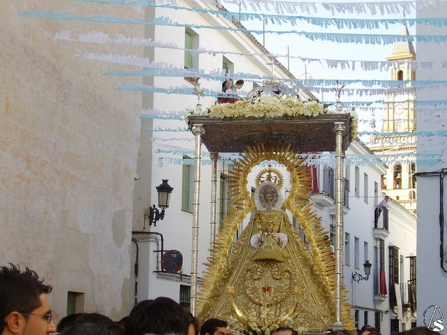 gracia carmona