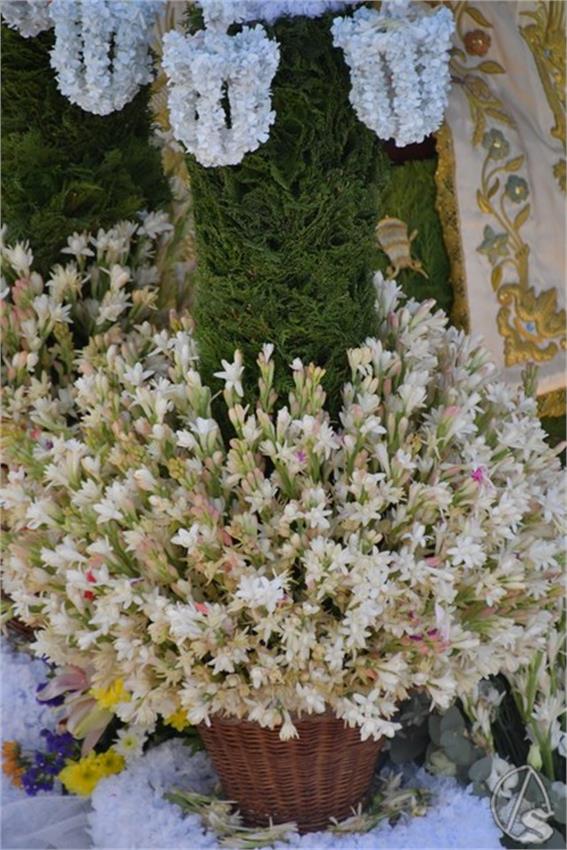 Virgen_de_Valme._2024._Dos_Hermanas__23___Copiar_.JPG