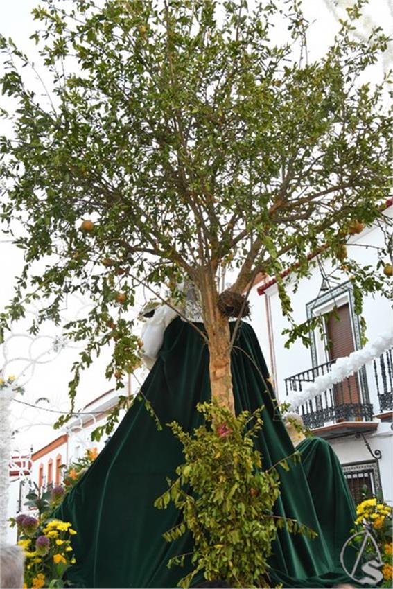Virgen_de_la_Sangre._2026._Huevar_del_Aljarafe_175_Copiar.JPG