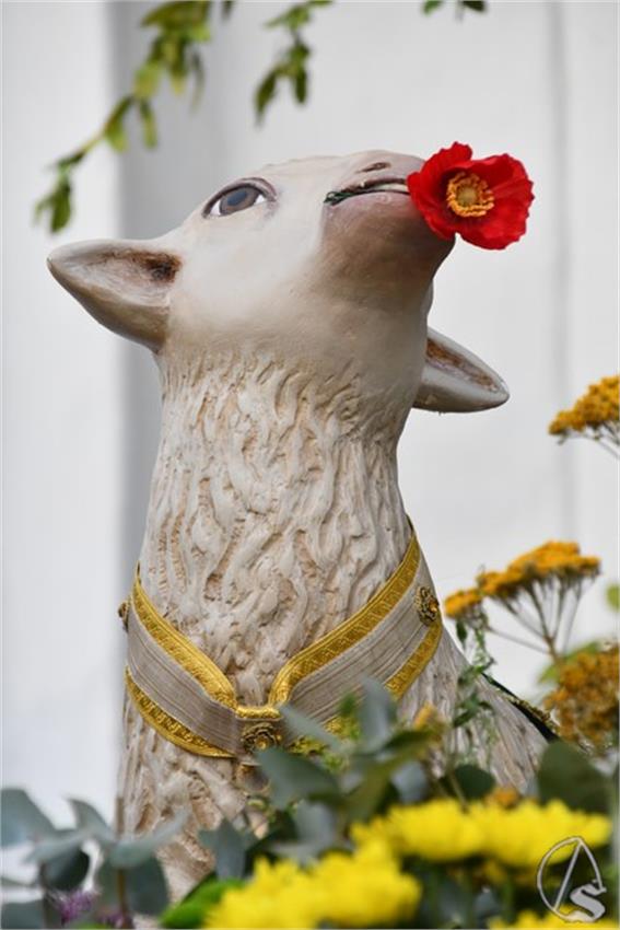 Virgen_de_la_Sangre._2026._Huevar_del_Aljarafe_42_Copiar.JPG