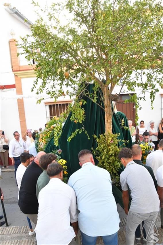 Virgen_de_la_Sangre._2026._Huevar_del_Aljarafe_62_Copiar.JPG