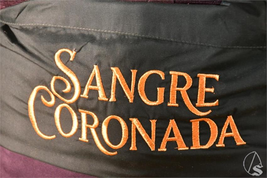 Virgen_de_la_Sangre._Gerena_954_Copiar.JPG
