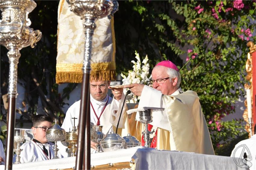 Virgen_de_los_Dolores._El_Viso_del_Alcor__264___Copiar_.JPG