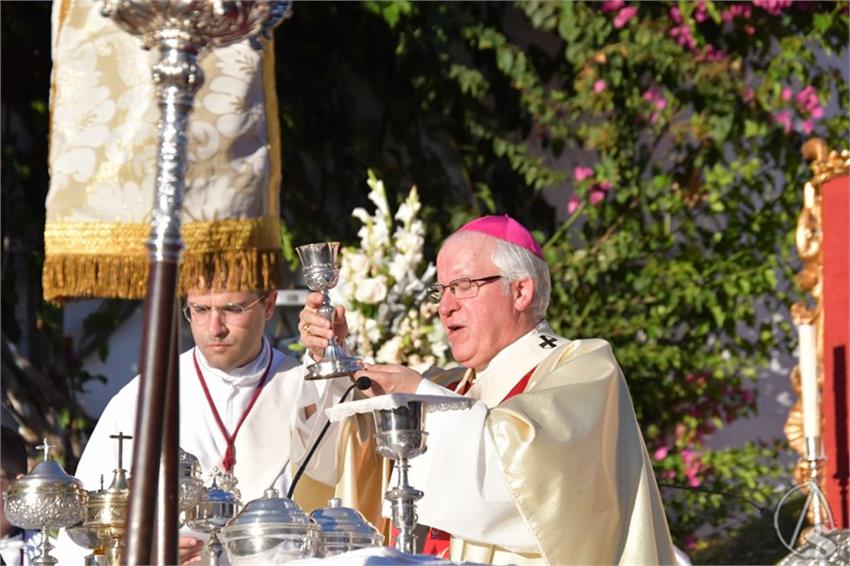 Virgen_de_los_Dolores._El_Viso_del_Alcor__266___Copiar_.JPG