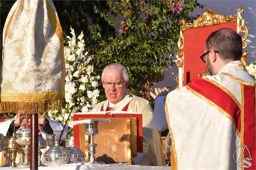 Virgen_de_los_Dolores._El_Viso_del_Alcor__287___Copiar_.JPG