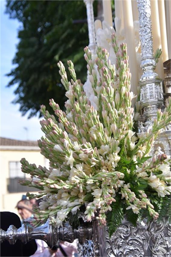 Virgen_de_los_Dolores._San_Juan_de_Aznalfarache__65___Copiar_.JPG