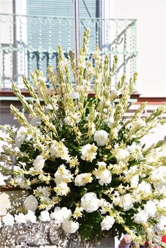 Virgen_de_los_Reyes._2026._El_Viso_del_Alcor_141_Copiar.JPG
