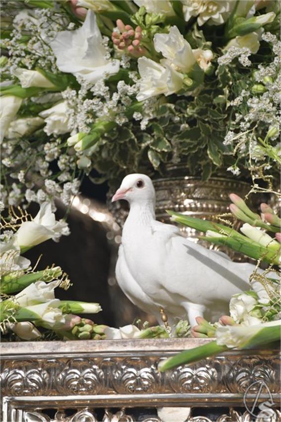 Virgen_del_Aguila._Alcala_de_Guadaira__169___Copiar_.JPG