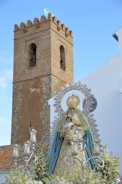 aguila pinto