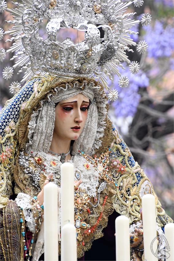 Virgen_del_Consuelo_Triana_Luis_M_Fernandez_020526__29_.JPG