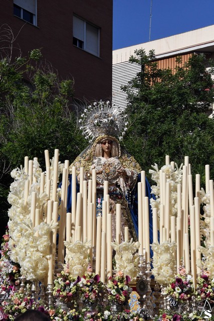 consuelo triana