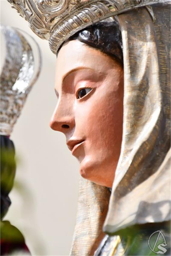 Virgen_del_Rosario._2026._Fuentes_de_Andalucia_72_Copiar.JPG