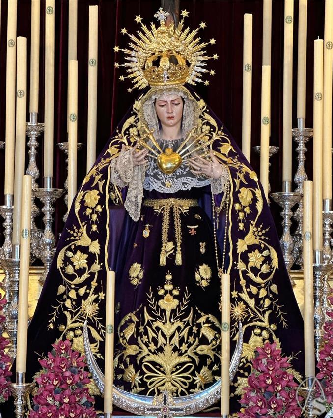 WhatsApp_Image_2026-02-18_at_12.39.50__3_