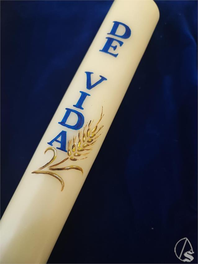 WhatsApp_Image_2026-03-18_at_10.04.04__2_