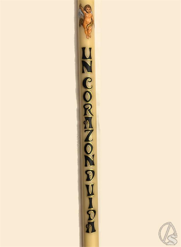 WhatsApp_Image_2026-03-29_at_12.10.09