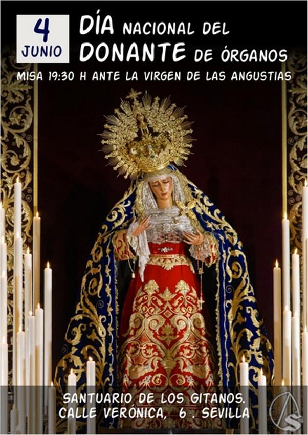 WhatsApp__Copiar_