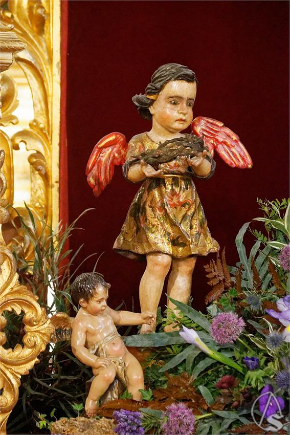 fjmontie_BP_Cristo_de_la_Paz_Carmen_Doloroso_2026_DSC_3595_DxO