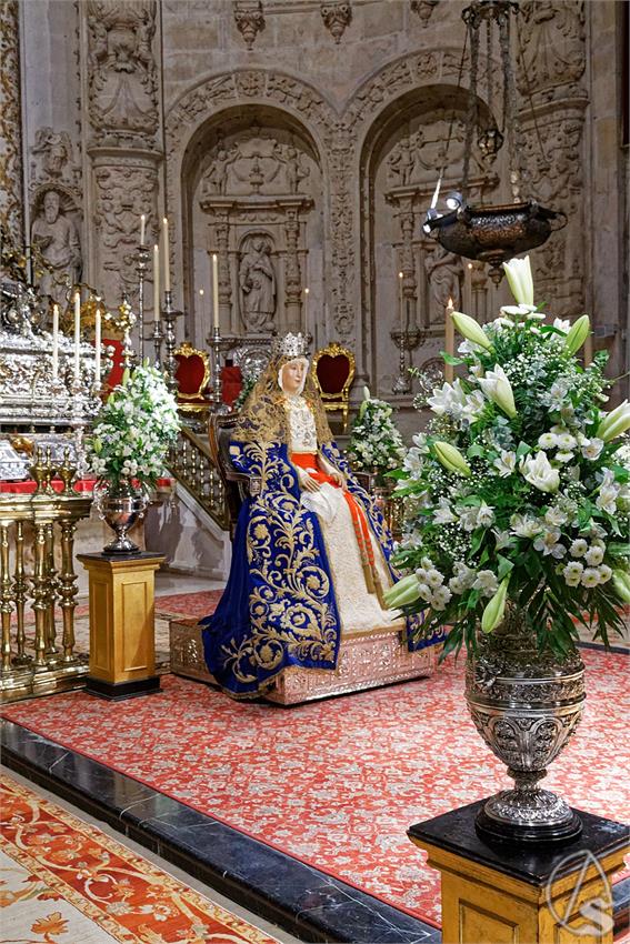 fjmontiel_1er_BM_Virgen_de_los_Reyes_2024_DSC_9318_DxO
