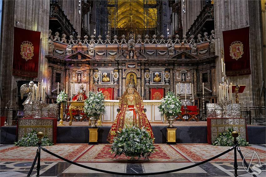 fjmontiel_2o_BM_Virgen_de_los_Reyes_2025_DSC_2096_DxO