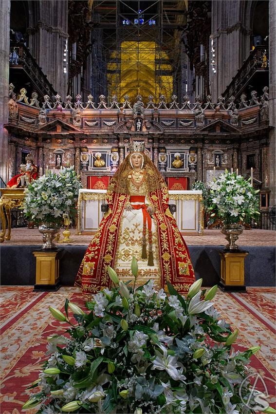 fjmontiel_2o_BM_Virgen_de_los_Reyes_2025_DSC_2116_DxO