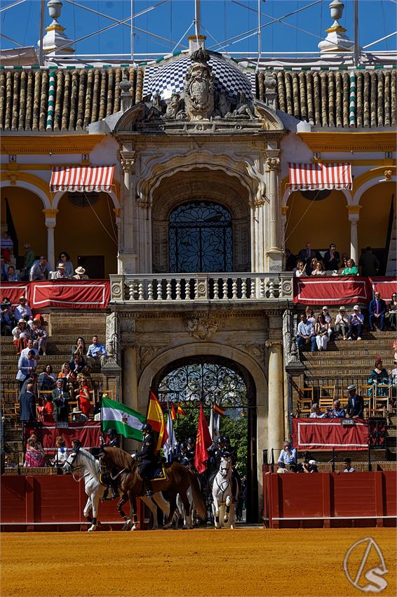 fjmontiel_38_Exhibicion_Enganches_Maestranza_Sevilla_2024_DSC_4862_DxO