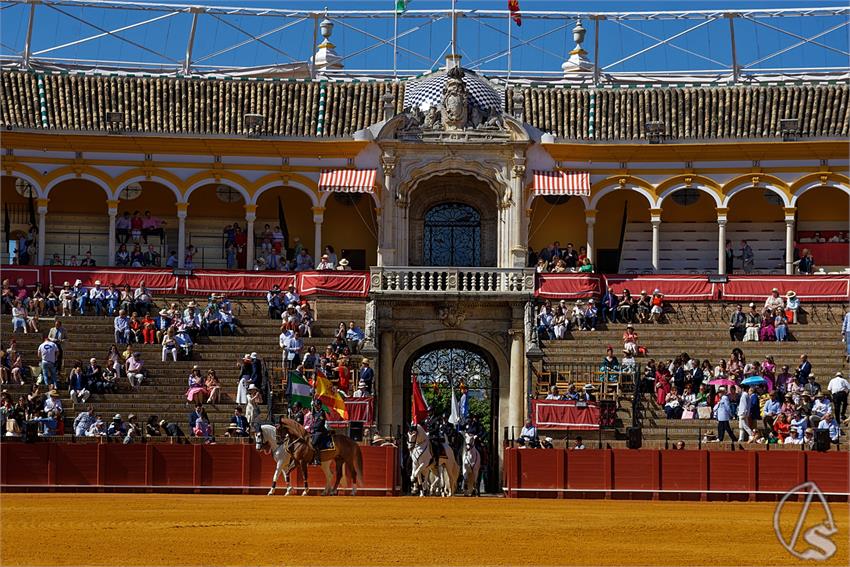 fjmontiel_38_Exhibicion_Enganches_Maestranza_Sevilla_2024_DSC_4863_DxO