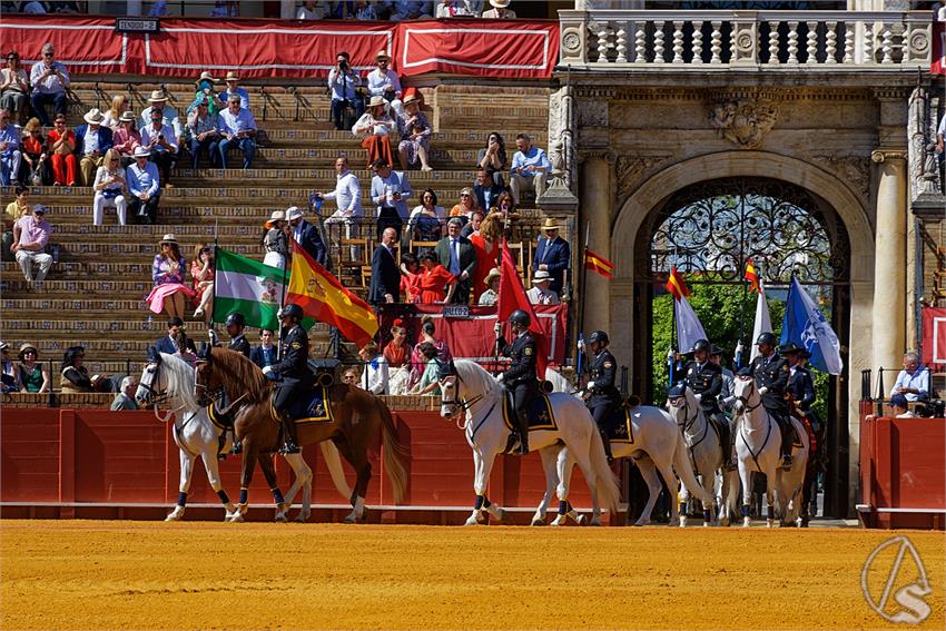 fjmontiel_38_Exhibicion_Enganches_Maestranza_Sevilla_2024_DSC_4864_DxO