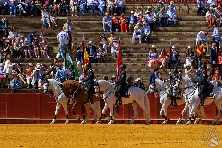 fjmontiel_38_Exhibicion_Enganches_Maestranza_Sevilla_2024_DSC_4865_DxO