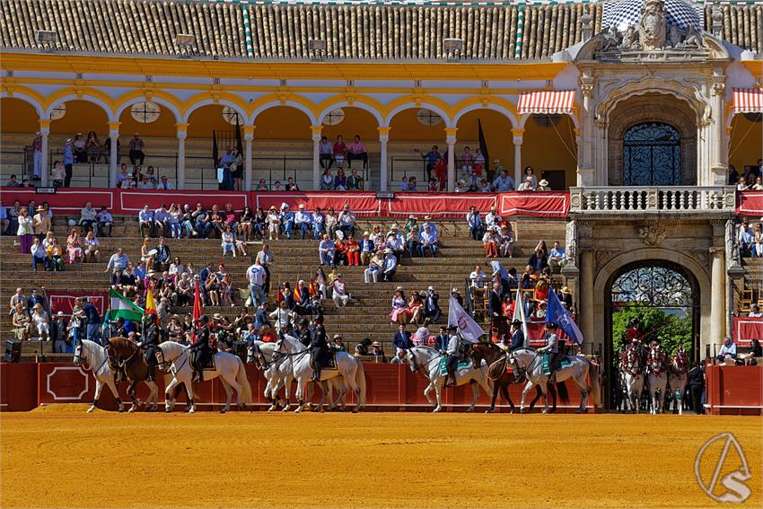 fjmontiel_38_Exhibicion_Enganches_Maestranza_Sevilla_2024_DSC_4866_DxO