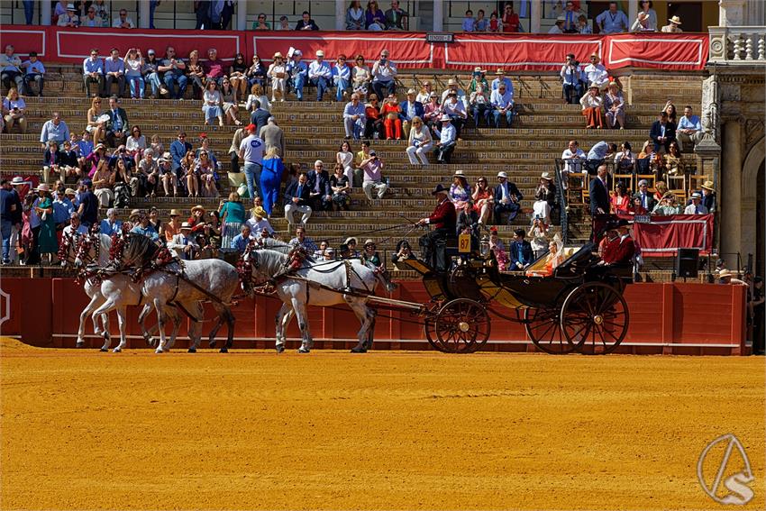 fjmontiel_38_Exhibicion_Enganches_Maestranza_Sevilla_2024_DSC_4867_DxO