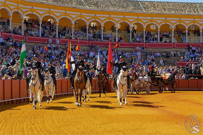 fjmontiel_38_Exhibicion_Enganches_Maestranza_Sevilla_2024_DSC_4868_DxO