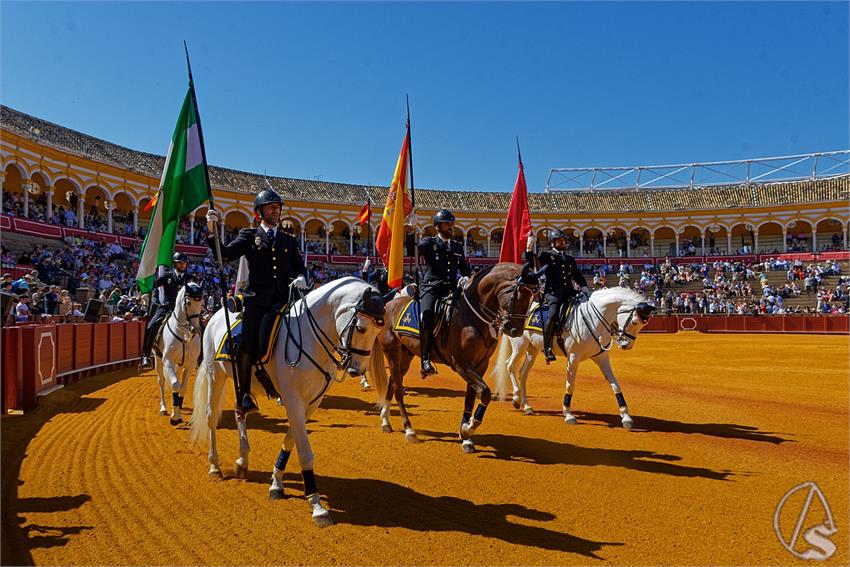 fjmontiel_38_Exhibicion_Enganches_Maestranza_Sevilla_2024_DSC_4869_DxO