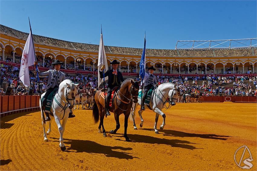 fjmontiel_38_Exhibicion_Enganches_Maestranza_Sevilla_2024_DSC_4870_DxO