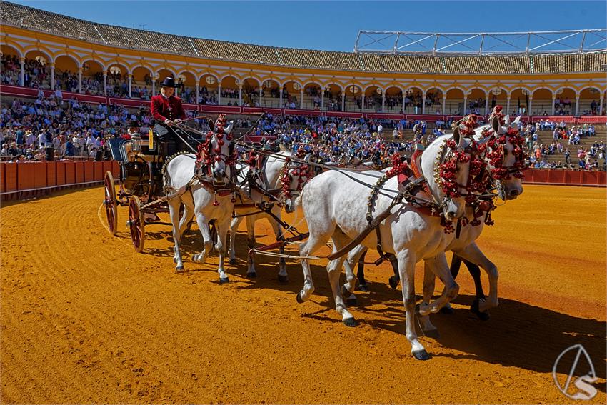 fjmontiel_38_Exhibicion_Enganches_Maestranza_Sevilla_2024_DSC_4871_DxO