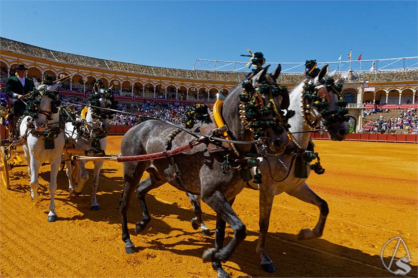 fjmontiel_38_Exhibicion_Enganches_Maestranza_Sevilla_2024_DSC_4876_DxO