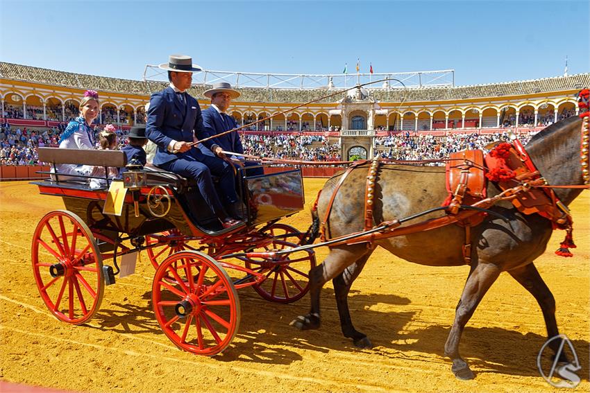 fjmontiel_38_Exhibicion_Enganches_Maestranza_Sevilla_2024_DSC_4889_DxO