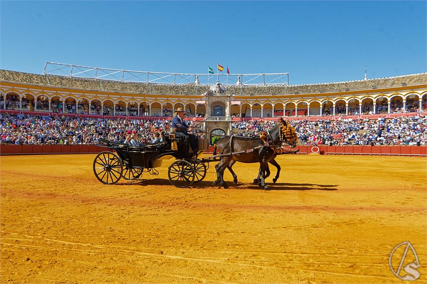 fjmontiel_38_Exhibicion_Enganches_Maestranza_Sevilla_2024_DSC_4890_DxO